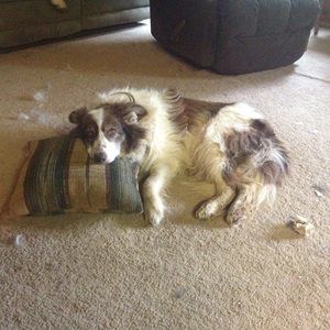 Meet your Posher, Shari